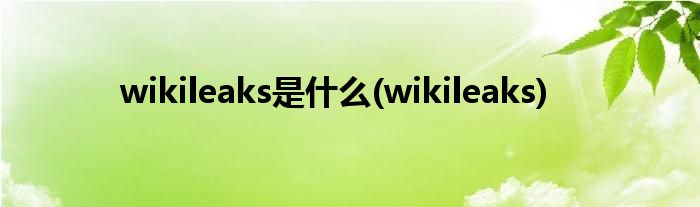 wikileaks是什么(wikileaks)