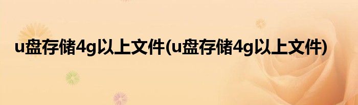 u盘存储4g以上文件(u盘存储4g以上文件)