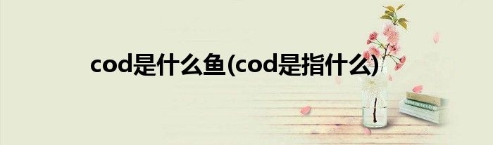 cod是什么鱼(cod是指什么)