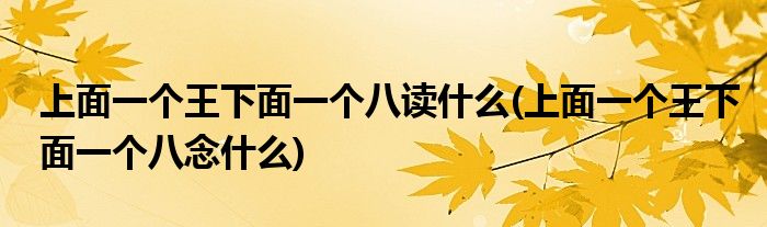 上面一个王下面一个八读什么(上面一个王下面一个八念什么)