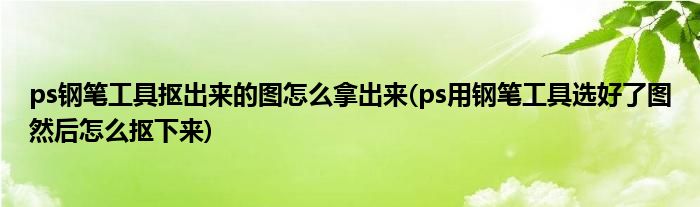 ps钢笔工具抠出来的图怎么拿出来(ps用钢笔工具选好了图然后怎么抠下来)