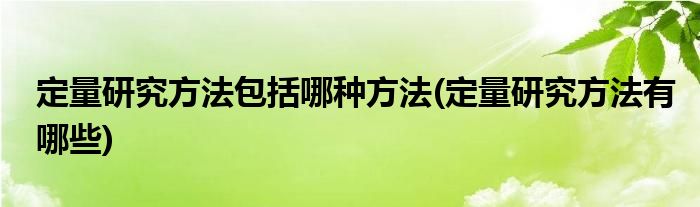 定量研究方法包括哪种方法(定量研究方法有哪些)