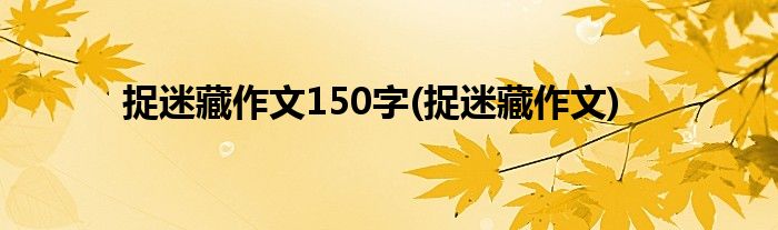 捉迷藏作文150字(捉迷藏作文)