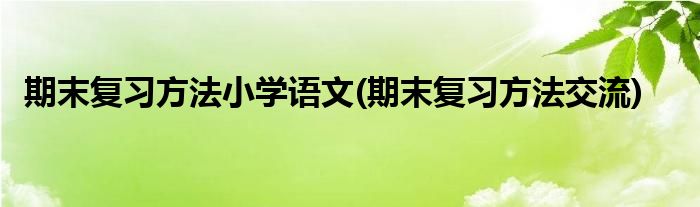 期末复习方法小学语文(期末复习方法交流)