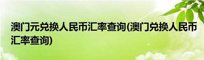 澳门元兑换人民币汇率查询(澳门兑换人民币汇率查询)