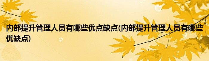 内部提升管理人员有哪些优点缺点(内部提升管理人员有哪些优缺点)