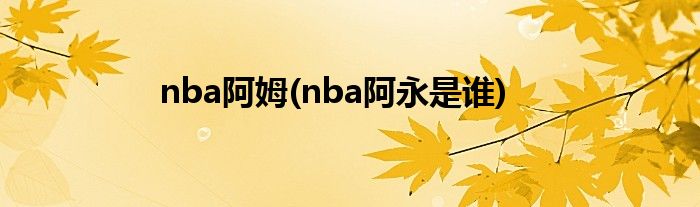 nba阿姆(nba阿永是谁)