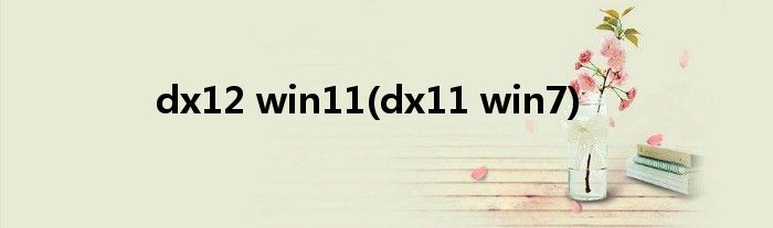 dx12 win11(dx11 win7)