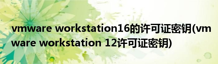 vmware workstation16的许可证密钥(vmware workstation 12许可证密钥)