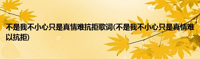 不是我不小心只是真情难抗拒歌词(不是我不小心只是真情难以抗拒)