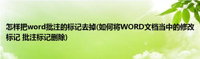 怎样把word批注的标记去掉(如何将WORD文档当中的修改标记 批注标记删除)