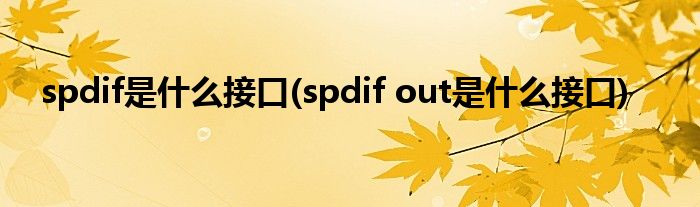 spdif是什么接口(spdif out是什么接口)