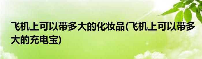 飞机上可以带多大的化妆品(飞机上可以带多大的充电宝)