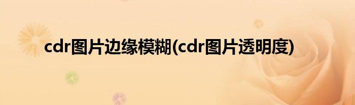 cdr图片边缘模糊(cdr图片透明度)