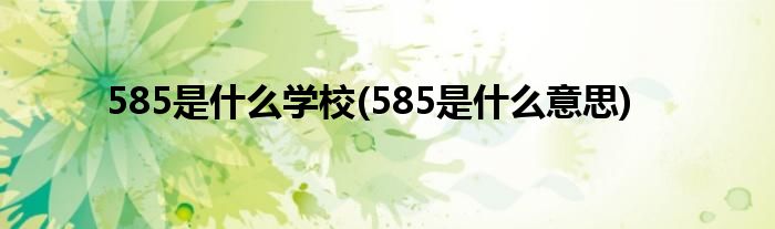 585是什么学校(585是什么意思)