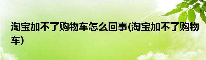 淘宝加不了购物车怎么回事(淘宝加不了购物车)