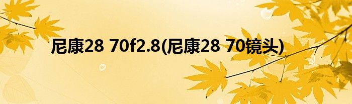 尼康28 70f2.8(尼康28 70镜头)