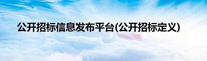 公开招标信息发布平台(公开招标定义)