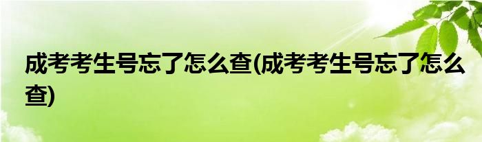 成考考生号忘了怎么查(成考考生号忘了怎么查)