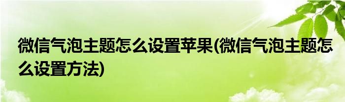 微信气泡主题怎么设置苹果(微信气泡主题怎么设置方法)