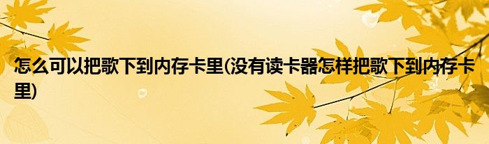 怎么可以把歌下到内存卡里(没有读卡器怎样把歌下到内存卡里)