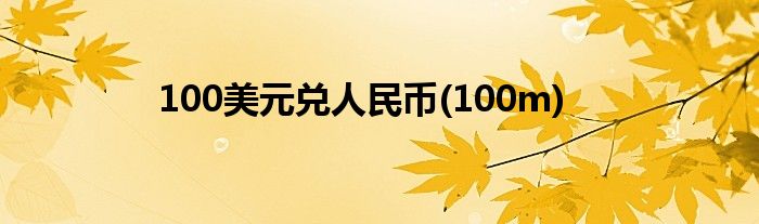 100美元兑人民币(100m)