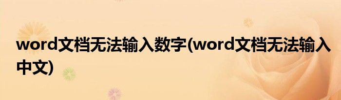 word文档无法输入数字(word文档无法输入中文)