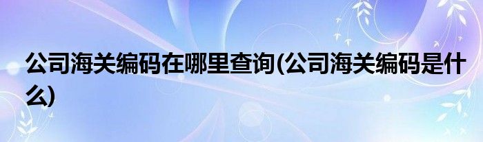 公司海关编码在哪里查询(公司海关编码是什么)