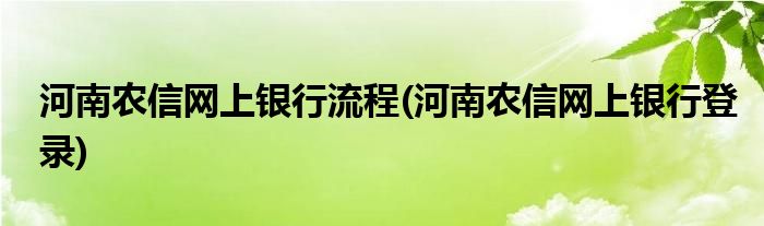 河南农信网上银行流程(河南农信网上银行登录)