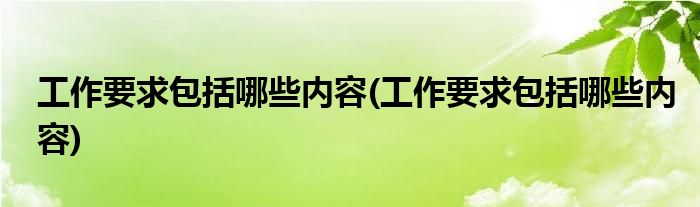 工作要求包括哪些内容(工作要求包括哪些内容)