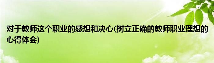 对于教师这个职业的感想和决心(树立正确的教师职业理想的心得体会)