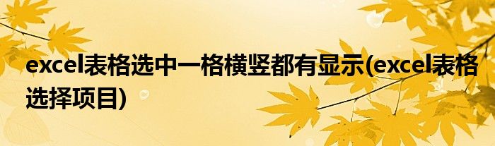 excel表格选中一格横竖都有显示(excel表格选择项目)