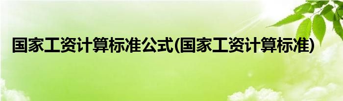 国家工资计算标准公式(国家工资计算标准)