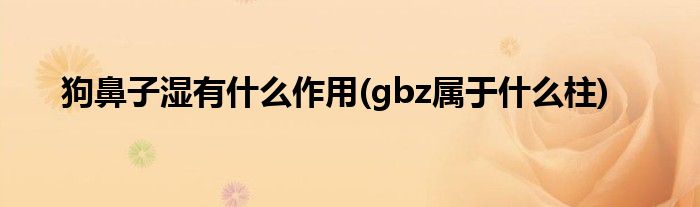 狗鼻子湿有什么作用(gbz属于什么柱)