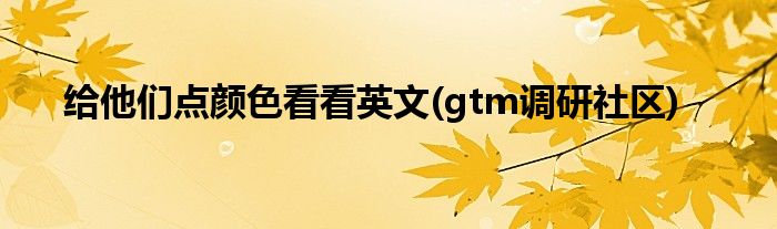 给他们点颜色看看英文(gtm调研社区)