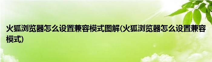 火狐浏览器怎么设置兼容模式图解(火狐浏览器怎么设置兼容模式)