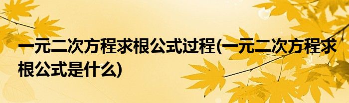 一元二次方程求根公式过程(一元二次方程求根公式是什么)