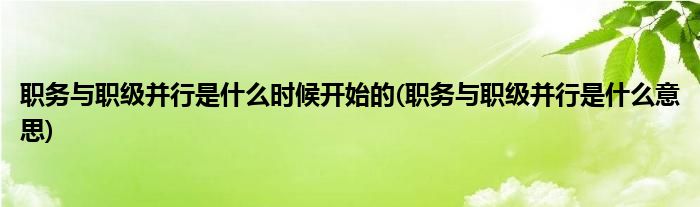 职务与职级并行是什么时候开始的(职务与职级并行是什么意思)