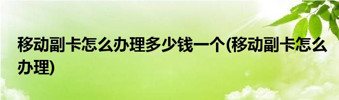 移动副卡怎么办理多少钱一个(移动副卡怎么办理)