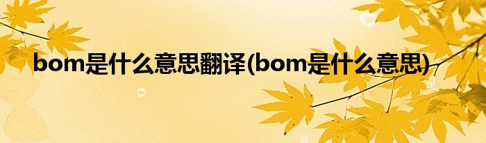 bom是什么意思翻译(bom是什么意思)