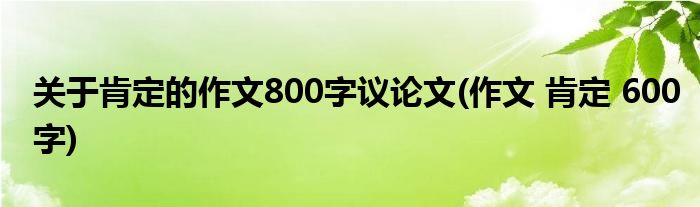 关于肯定的作文800字议论文(作文 肯定 600字)