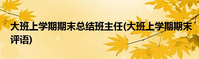 大班上学期期末总结班主任(大班上学期期末评语)