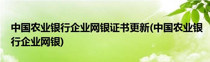 中国农业银行企业网银证书更新(中国农业银行企业网银)