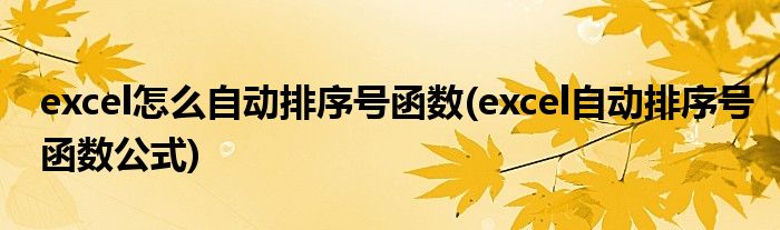 excel怎么自动排序号函数(excel自动排序号函数公式)