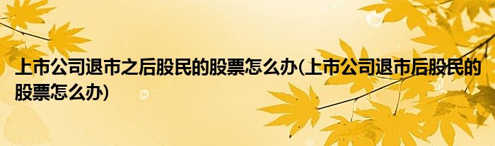 上市公司退市之后股民的股票怎么办(上市公司退市后股民的股票怎么办)