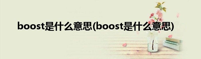 boost是什么意思(boost是什么意思)