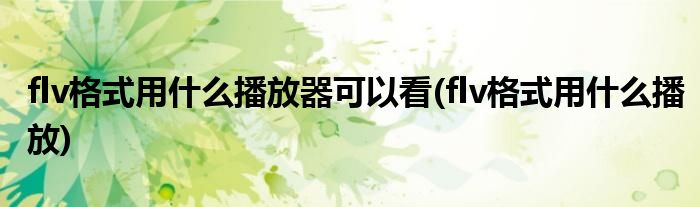 flv格式用什么播放器可以看(flv格式用什么播放)