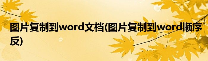 图片复制到word文档(图片复制到word顺序反)