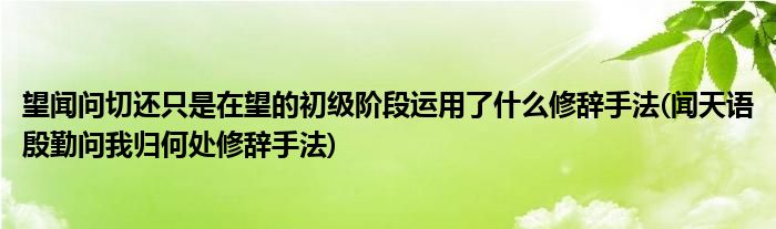 望闻问切还只是在望的初级阶段运用了什么修辞手法(闻天语殷勤问我归何处修辞手法)