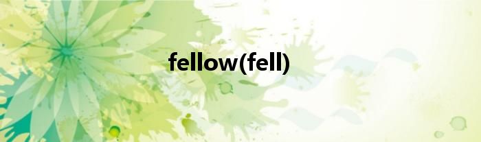 fellow(fell)